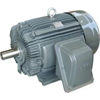 Motor Induksi - Distributor Electric Motor TECO 1