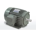 Motor Induksi - Distributor Electric Motor TECO 4