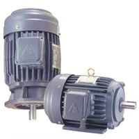 Motor Listrik Induksi - Motor elektrik TECO 