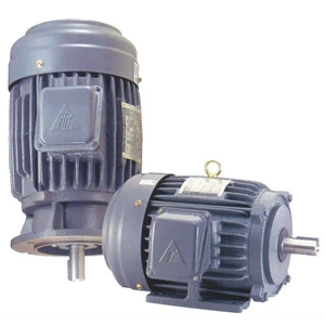 Motor Listrik - Motor elektrik TECO 