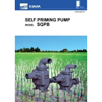 EBARA SELF PRIMING Irrigation Water Pump Model SQPB