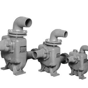Ebara SQPB Pump / Rice Field Irrigation Pump