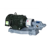  ​​Gear Pump EBARA GPE - Distributor of Gear Pump Ebara Model 25 GPE